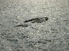 s2_IMGP0065s.png